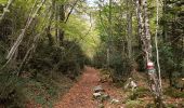 Excursión Senderismo Isaba - cascada de belabarce - Photo 3