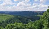Excursión Senderismo Trois-Ponts - Promenade vers la tour Leroux   - Photo 18
