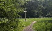 Trail Walking Compiègne - Randonnée en Forêt de Compiègne_51_le Mont du Tremble et les Beaux Monts - Photo 12