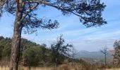Trail Walking Saint-Zacharie - Saint-Zacharie  - Photo 2