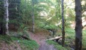 Trail Walking Murat-le-Quaire - la bourboule lac de guery - Photo 2