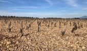 Percorso Marcia Sorgues - Balade dans les vignes de Châteauneuf-du-Pape - Photo 5
