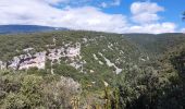 Excursión Senderismo Flassan - Sentier des Cochons - Photo 1