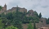 Tour Wandern Vetralla - CR_Francigena_DO_51_Vetralla_Sutri_20230604 - Photo 12