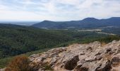 Trail Walking Dambach-la-Ville - Sommets et rochers - Photo 13