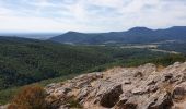 Tour Wandern Dambach - Sommets et rochers - Photo 13