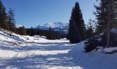 Tour Schneeschuhwandern Saint-Agnan-en-Vercors - la coche - Photo 1