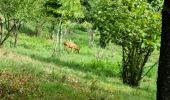 Tour Wandern Chamarande - Circuit dans le domaine du château de Chamarande - Photo 10