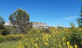 Excursión Senderismo Eygalières - Petit et Gros Calan - Photo 3