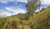 Randonnée Marche Poindimié - Sentier de Koyaboa - Poindimié (Nouvelle Calédonie) - Photo 5