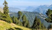 Trail Walking Faverges-Seythenex - SAMBUY PAS DE L'OURS - Photo 5