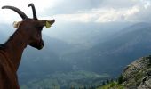 Tour Wandern Sixt-Fer-à-Cheval - 2020-08-14 Marche Salvagny vers Refuge Grenairon - Photo 3