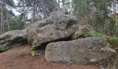 Tocht Stappen Fontainebleau - Fontainebleau Sentier Denecourt 17 - Photo 12