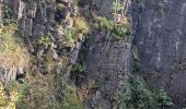 Randonnée Marche Sprimont - Aywaille : La Heyd des Gattes,  Carrière de Goiveux, Chateau de L'Emblève - Photo 11