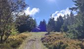 Tour Wandern Le Bessat - Croix de Chaubouret - Crêt de Botte - Col de l'Oeuillon  - Photo 13