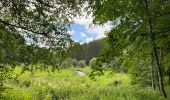 Tour Wandern Sankt Vith - Lommersweiler  variante chouette  - Photo 4