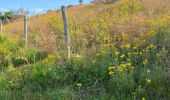 Trail Walking Grandvals - Grand bals les qu’âtres hameaux - Photo 2