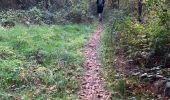 Trail Walking Liedekerke - 20221030 WSV De Pajotten 7 km - Photo 15