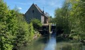 Tocht Mountainbike Thuin - SityTrail - Magik Trott | Abbaye d'Aulne - Architecture & Monuments | Intermédiaire - Photo 7