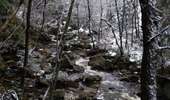 Tour Wandern Jalhay - Solwaster-Statte-Hoegne - Photo 1