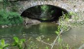 Trail On foot Altenahr - Gottfried-Kinkel-Weg - Photo 9