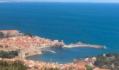 Percorso Marcia Port-Vendres - Port Vendres Collioure sur les hauteurs et la côte  - Photo 11