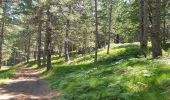 Excursión Bici eléctrica Castiglione di Sicilia - Etna nord brunek - Photo 1