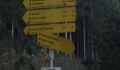 Tour Zu Fuß Sankt Veit im Pongau - Schwarzach Höhenweg - Photo 3