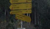 Percorso A piedi Sankt Veit im Pongau - Schwarzach Höhenweg - Photo 3