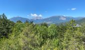 Tour Wandern Mayres-Savel - Randonnée des passerelles  - Photo 10