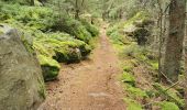 Excursión Senderismo Ribeauvillé - boucle la grande verrerie-roche des 3 tables-roche des reptiles-roche des géants-la grande verrerie  - Photo 1