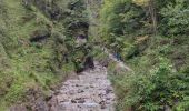 Tocht Trail Gemeinde Kirchdorf in Tirol - Grießbachklamm – Wasserfall - Photo 3