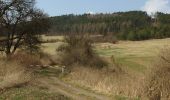 Tocht Te voet Tmaň - naučná stezka Koukolova Hora – Kotýz - Photo 4