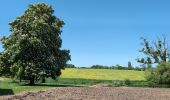 Randonnée Marche Manthelan - Manthelan - le Louroux - via PRs - 20.7km 100m 4h45 (1h) - 2025 04 30 - Photo 13