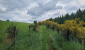 Randonnée Marche Houffalize - rando engreux 8-06-2025 - Photo 17