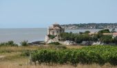 Randonnée A pied Talmont-sur-Gironde - Talmont-Barzan 17   -8km6 - Photo 1