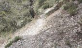 Trail Walking Canillas de Albaida - CIRCULAR_TAFRAOUTE - Photo 3