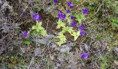 Randonnée Marche Arbéost - boucle au Soulor - Photo 2