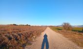 Trail Walking Valensole - plateau de valensole . ravin des cognets . ravin de la combe  - Photo 13