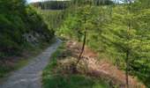Trail Walking Malmedy - Canyon des Trôs-Marets   - Photo 3