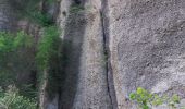 Excursión Senderismo La Sure en Chartreuse -  Gorges de la Roize Voreppe - Photo 11