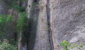 Randonnée Marche La Sure en Chartreuse -  Gorges de la Roize Voreppe - Photo 11