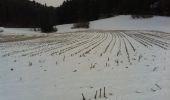 Percorso A piedi Reiden - Guggerhöchi - Buechberg - Langnau - Photo 4