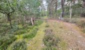 Tocht Stappen Maisse - Maisse - Forêt communale de Milly-la-Forêt - Photo 16