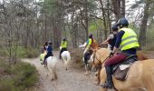 Tocht Stappen Noisy-sur-École - Sentier des 25 bosses (1ère moitié) - Photo 12