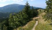 Tocht Te voet Gemeinde Trattenbach - Baumgarten - Kummerbauerstadl - Erzkogel - Photo 1