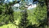 Tocht Stappen Saint-Martin-Vésubie - Lacs des Bresses et Negre - Photo 1