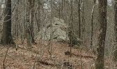 Trail Walking Durbuy - ballade autour des menhirs, dolmens et pierres de légendes de Weris - Photo 1