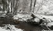 Tour Wandern Malmedy - beau veau  - Photo 7