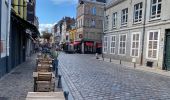 Tour Wandern Lille - Lille 9,5 km - Photo 5